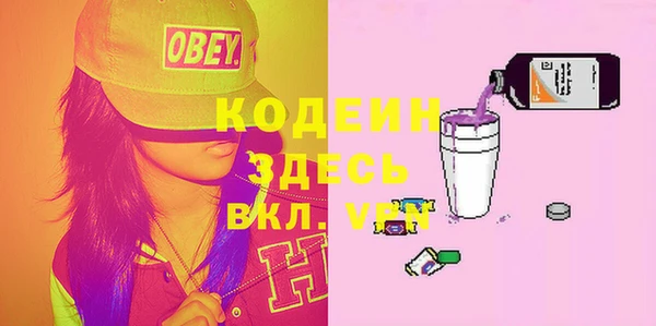 прущие грибы Новозыбков