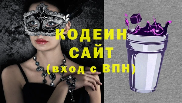прущие грибы Новозыбков