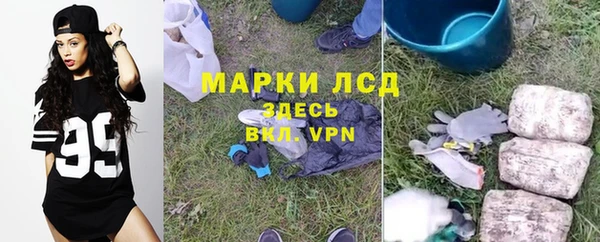 мяу мяу мука Кукмор