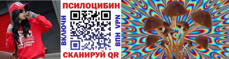 Псилоцибиновые грибы прущие грибы  сайты даркнета телеграм  Навашино 